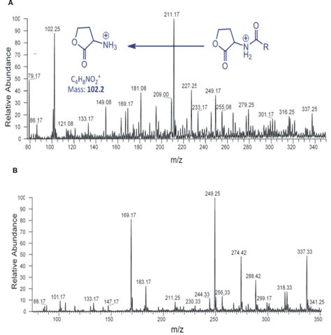 Mass chromatogram .